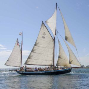 lys noir bzh accueil 1920 1280 2024 mobile2